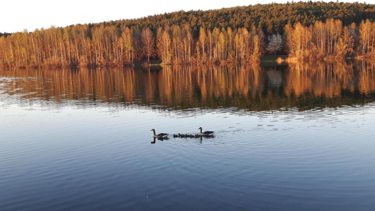Ferienwohnung Schwalbennest Am Igelsbachsee 압스베르크 외부 사진